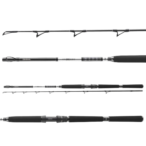 Daiwa BG Deep Sea 2.20m 150-400g